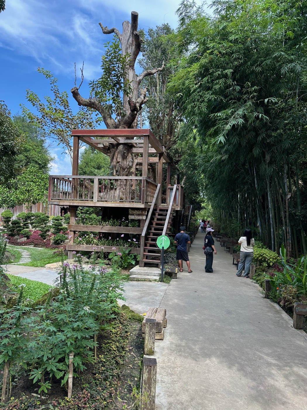 Chiang Mai Adventure Day — Dantewada garden tree house path