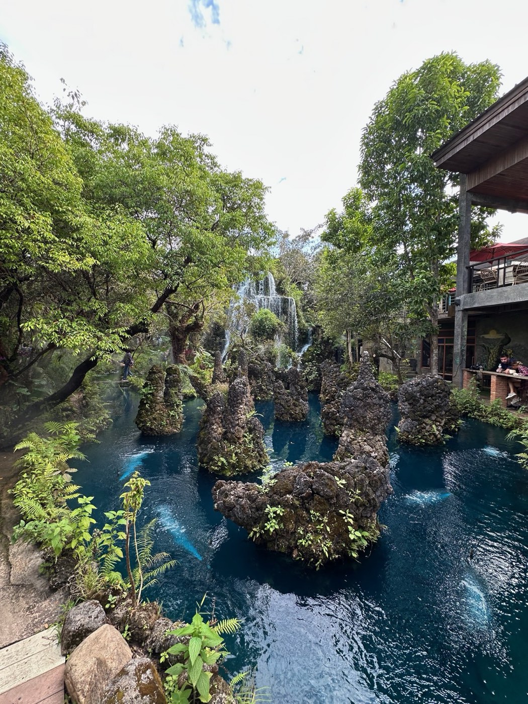 Chiang Mai Adventure Day — Dantewada garden waterfall (add-on)