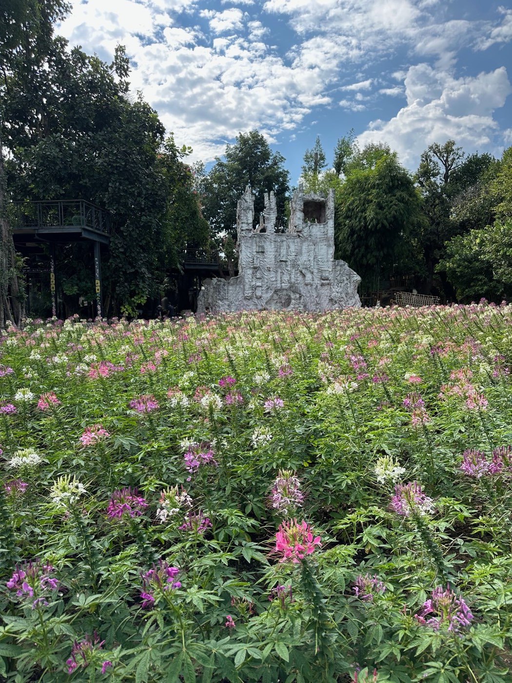 Chiang Mai Adventure Day — Dantewada garden flower field